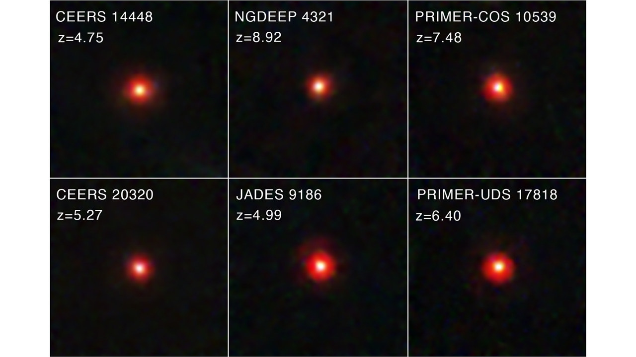 Are 'little red dots' seen by the James Webb Space Telescope actually elusive 'black hole stars'?