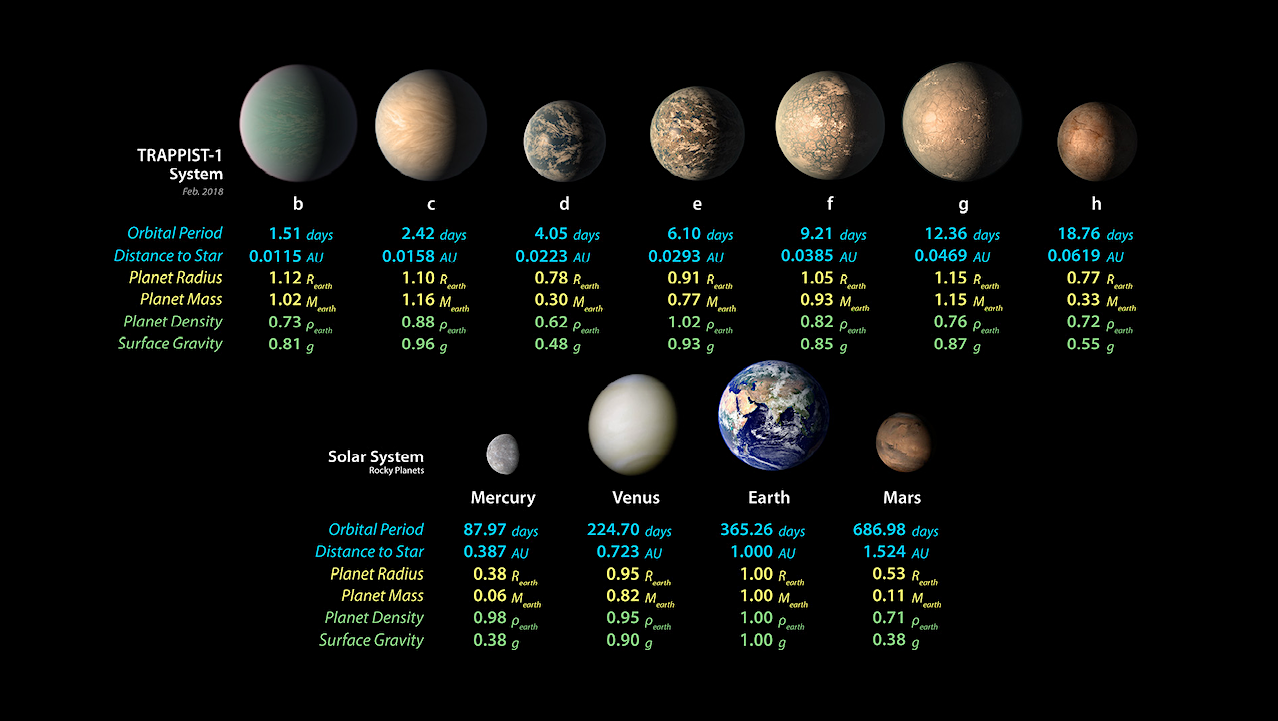 Born Dry or Born Wet? A Palette of Water Growth Histories in TRAPPIST-1 Analogs and Compact Planetary Systems