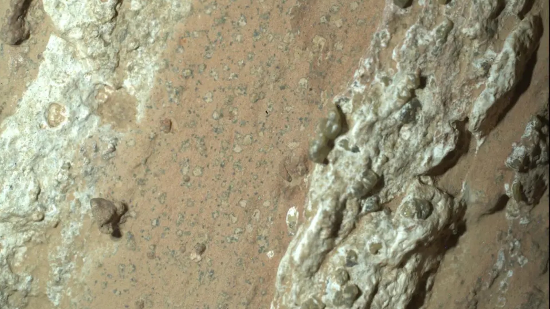 Did NASA's Perseverance rover find evidence of ancient life on Mars? The plot thickens