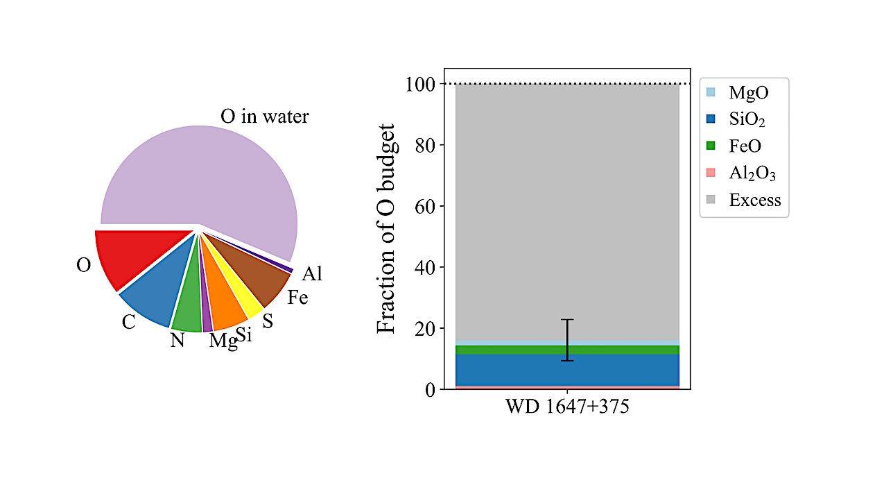 Discovery Of An Icy And Nitrogen-rich Extrasolar Planetesimal