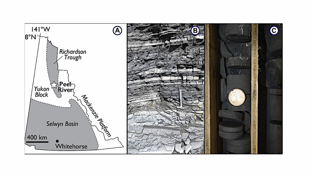 Dynamic Deep Marine Oxygenation During The Early And Middle Paleozoic