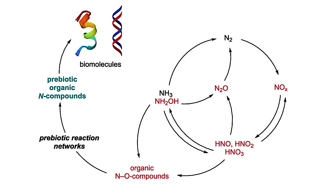 Fundamental Role of N–O Bond-Containing Compounds in Prebiotic Synthesis