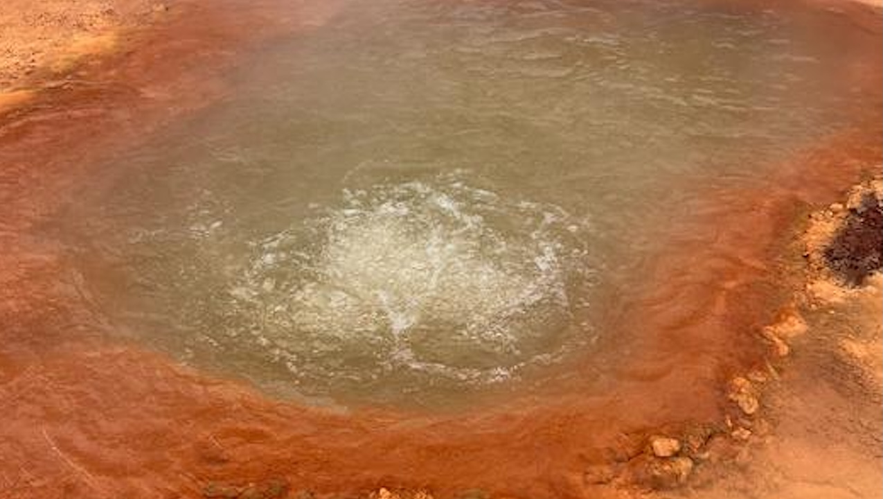 Hot Springs In Japan Give Insight Into Ancient Microbial Life On Earth