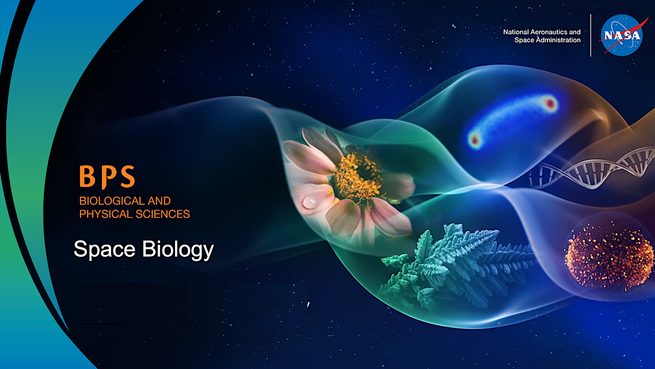 NASA Biological and Physical Sciences Division Invites Community Input on Sunsetting and Emerging Science