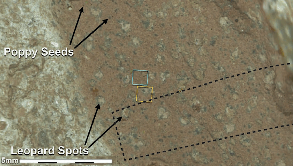 NASA Mars News On Wednesday (Sneak Peek?)