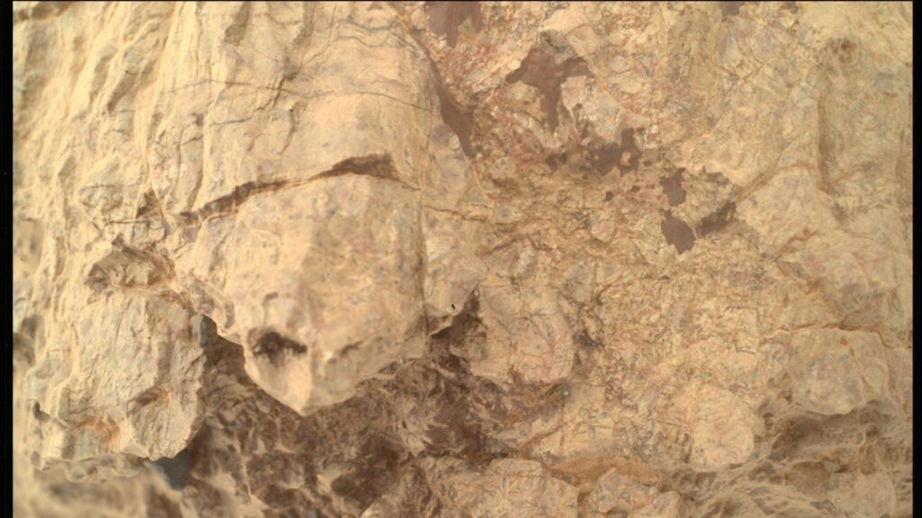 NASA Perseverance rover spies a 'turtle' on Mars | Space photo of the day for Sept. 5, 2025