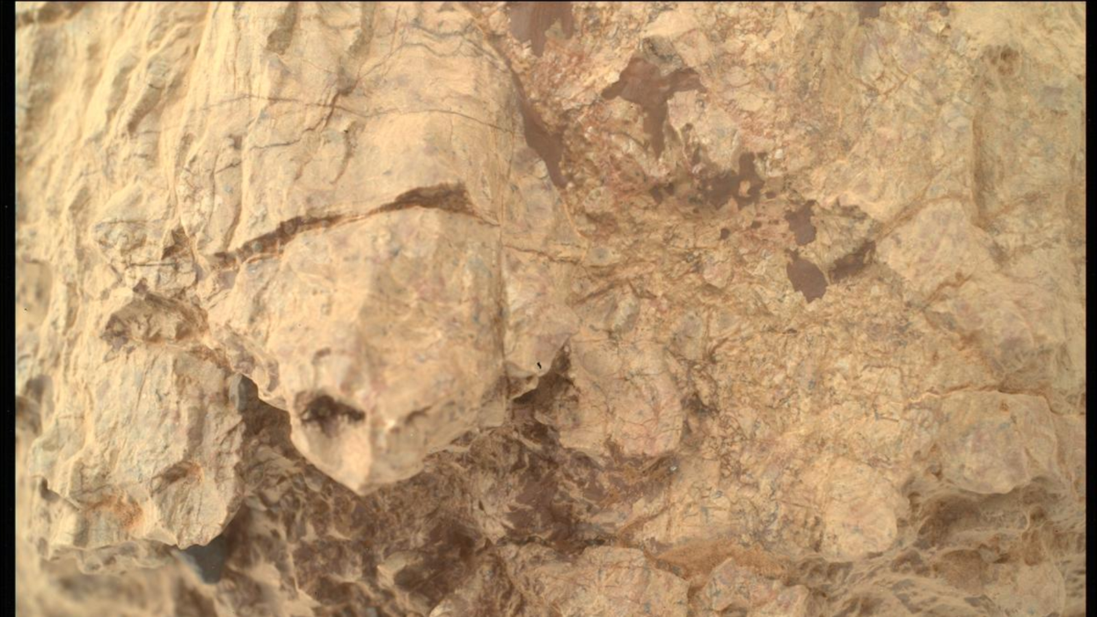 NASA Perseverance rover spies a 'turtle' on Mars | Space photo of the day for Sept. 5, 2025
