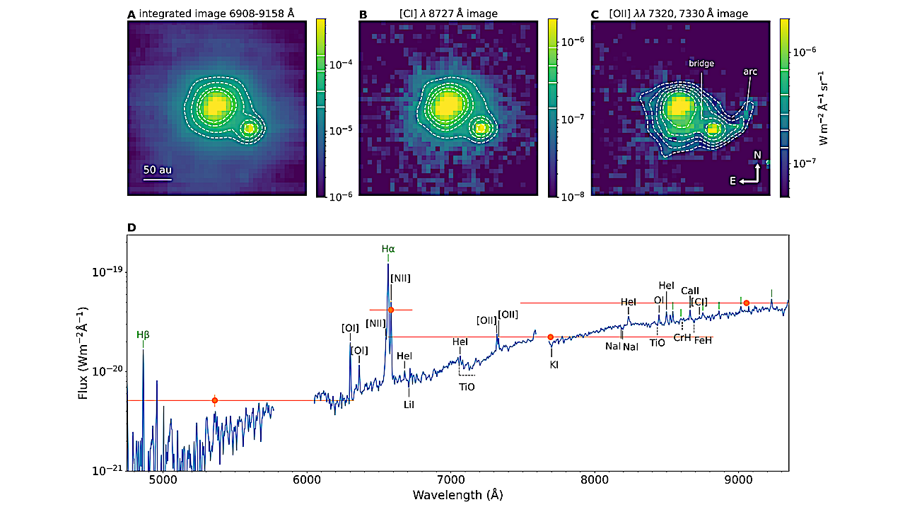 Observation Of An Accreting Planetary-Mass Companion With Signs Of Disk-Disk Interaction in Orion