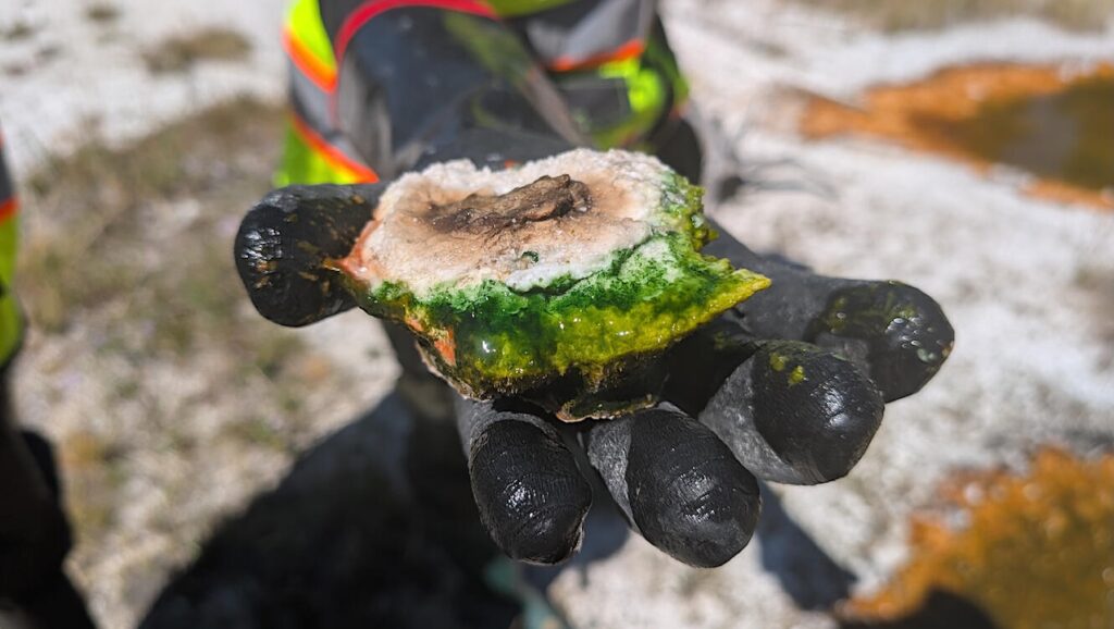 Studying Thermophiles In Yellowstone National Park