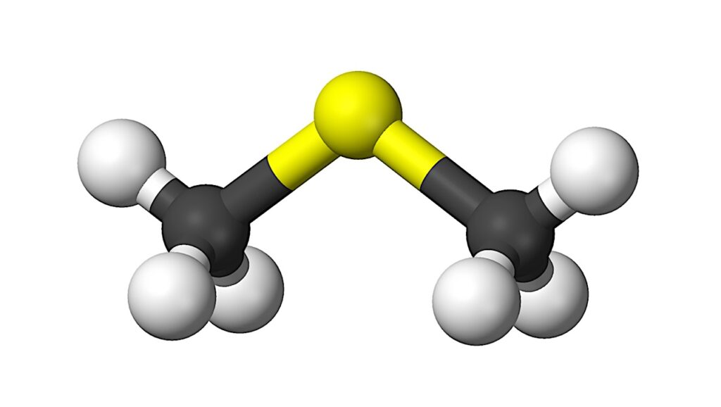Terrestrial Dimethyl Sulfide: Template For Astrobiology