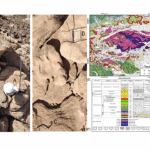 The Biology, Microclimate, and Geology of a Distinctive Ecosystem Within the Sandstone of Hyper-Arid Timna Valley, Israel