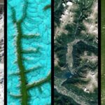 Webinar Series: Teaching with EMERGE & GLOBE Mission Mosquito
