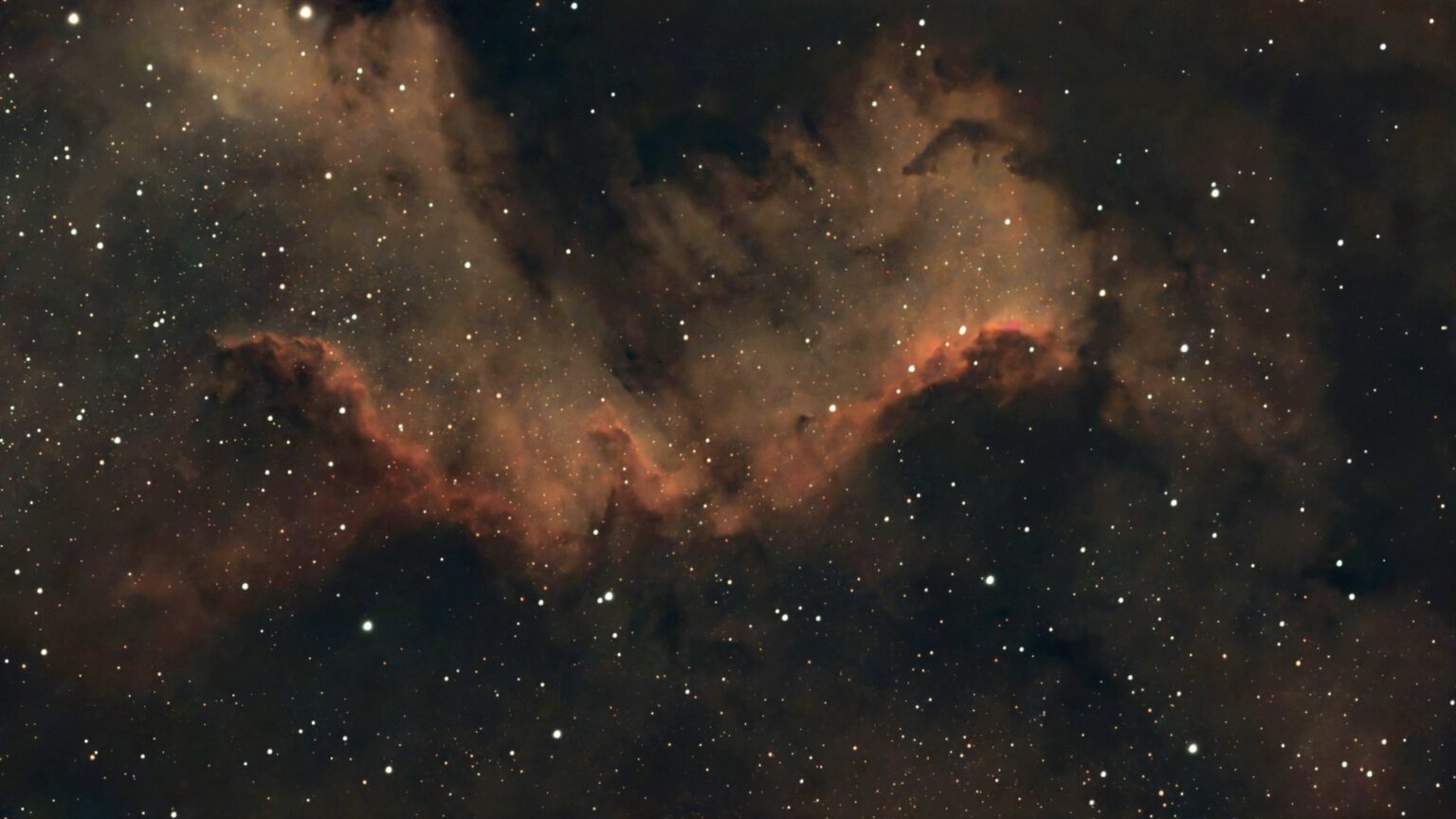 13 spooky images for Halloween