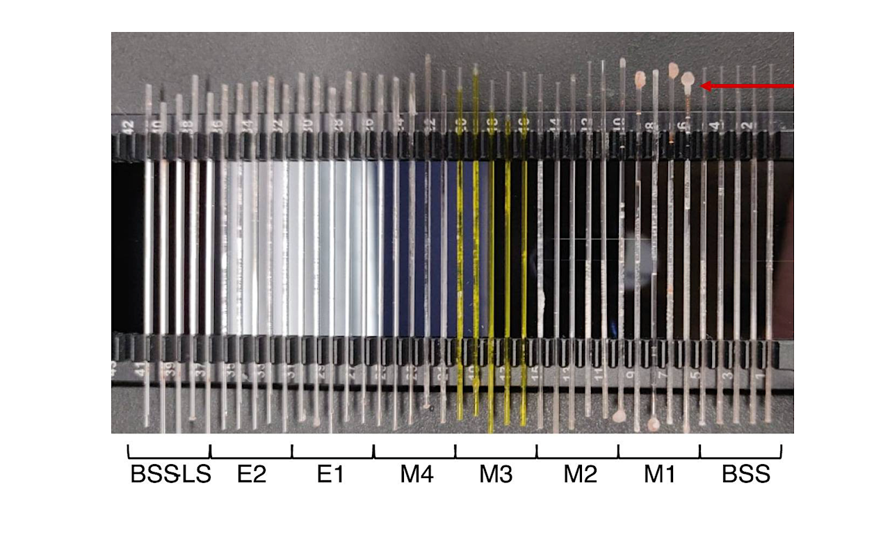 Assessment Of Methods For Evaluating Structural Stability Of Cell Envelope Fragments In Hypersaline Brines As Biosignatures Of Ancient Microbial Life