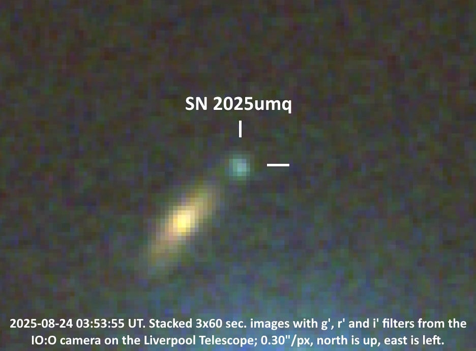 Dedicated Amateur Discovers Supernova in Remote Galaxy