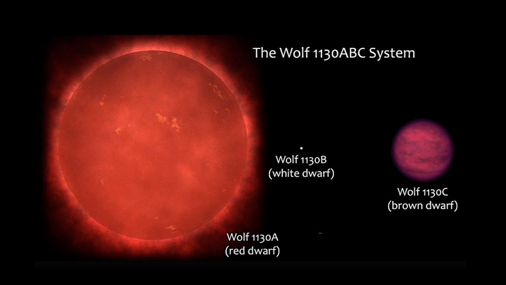Detection of Phosphine In A Brown Dwarf Atmosphere Raises More Questions