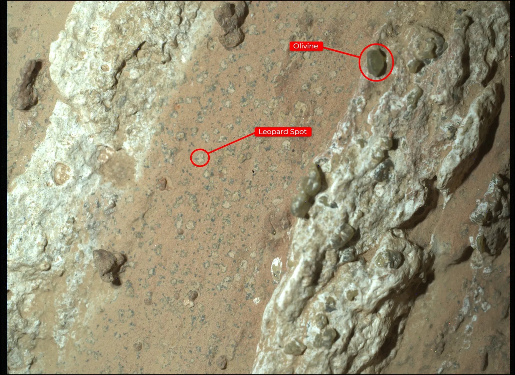 How excited should we be about the latest Mars potential biosignature discovery? 'It's arguably the best evidence we have so far'