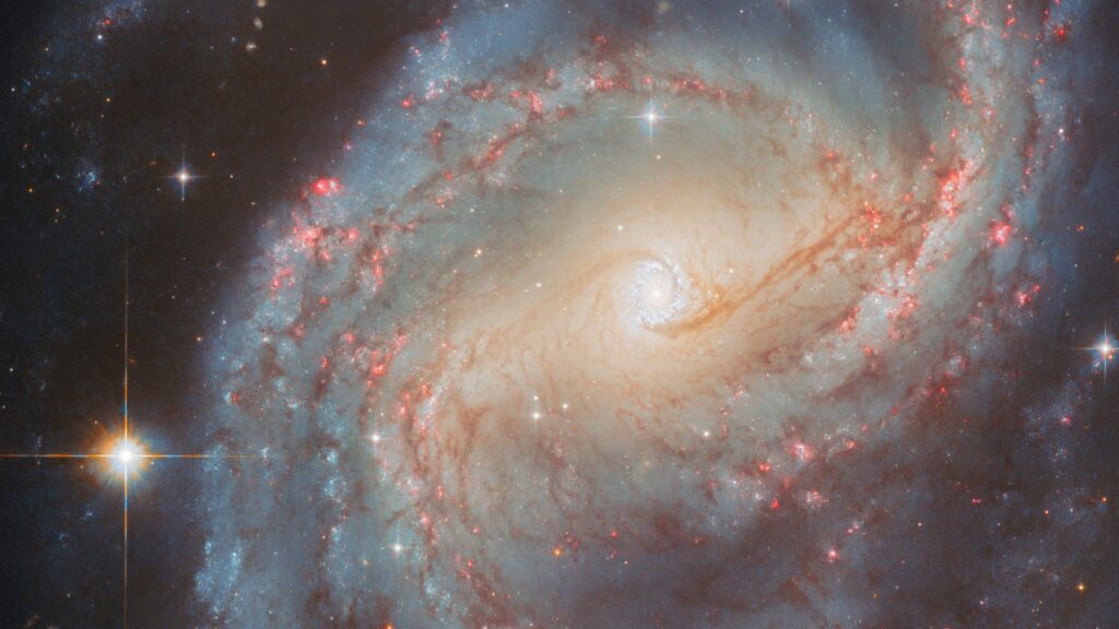 Hubble spies a glowing 'starburst ring' | Space photo of the day for Oct. 20, 2025