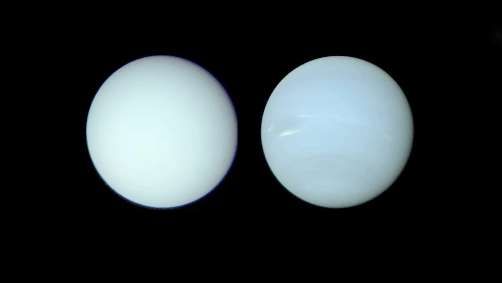 Icy or Rocky? Convective Or Stable? New Interior Models Of Uranus and Neptune