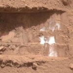Microbes Or Their DNA Could Survive In Martian Ice And A Future Rover Could Dig For It