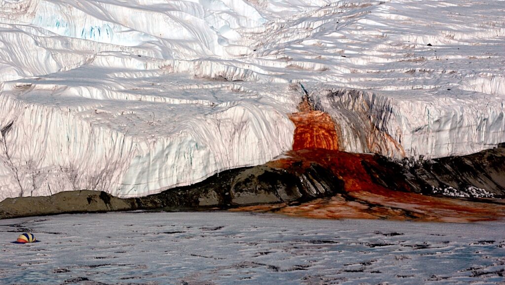 Multi-technique Characterization Of Iron Reduction By An Antarctic Shewanella: An Analog System For Putative Martian Biosignature Identification