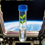 NASA Spaceline Current Awareness List #1,171 24 October 2025 (Space Life Science Research Results)