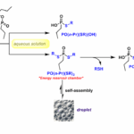 Primitive Chemically Fueled Reaction Cascade For Dissipative Droplets