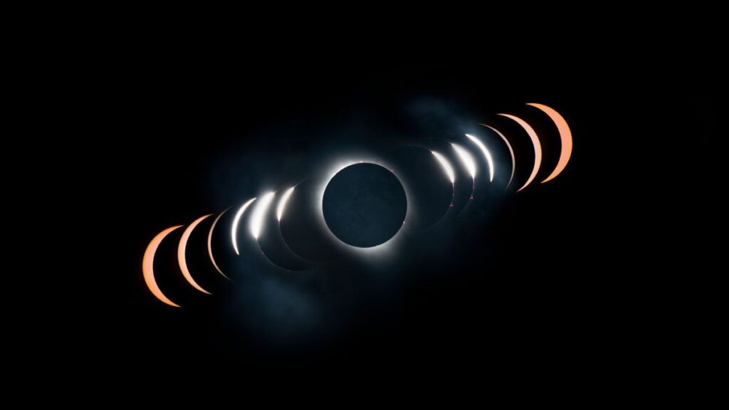 The total solar eclipse 2024 tricked birds into singing a 'false dawn chorus'
