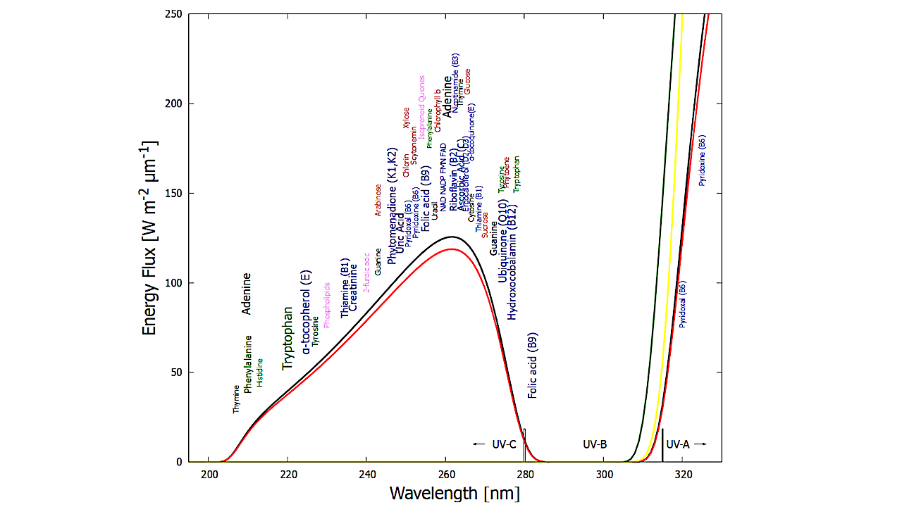 Abiogenesis On Different Star Types; a Dissipative Photochemical Perspective