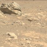 After 5 years on Mars, NASA's Perseverance rover may have found its 1st meteorite (photos)