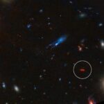 An Explanation For The JWST's Puzzling Early Galaxies