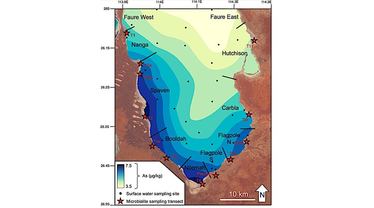 Arsenic Enrichment Patterns Are Defined By Microbialite Morphology, Fabric, And Accretion Mechanism.