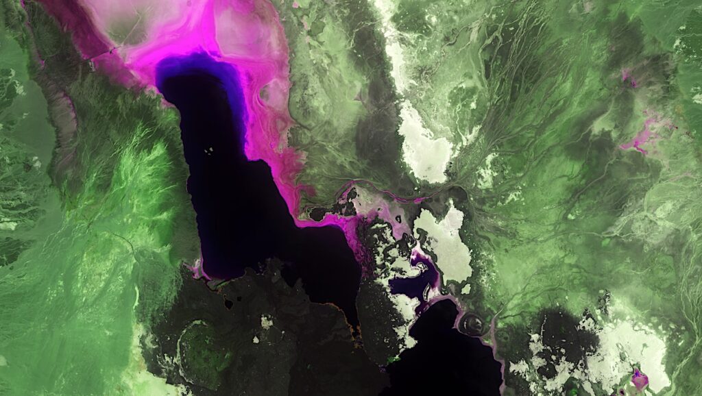 Astrobiology Analog Site: Copernicus Sentinel-2 Views The Danakil Depression In Ethiopia
