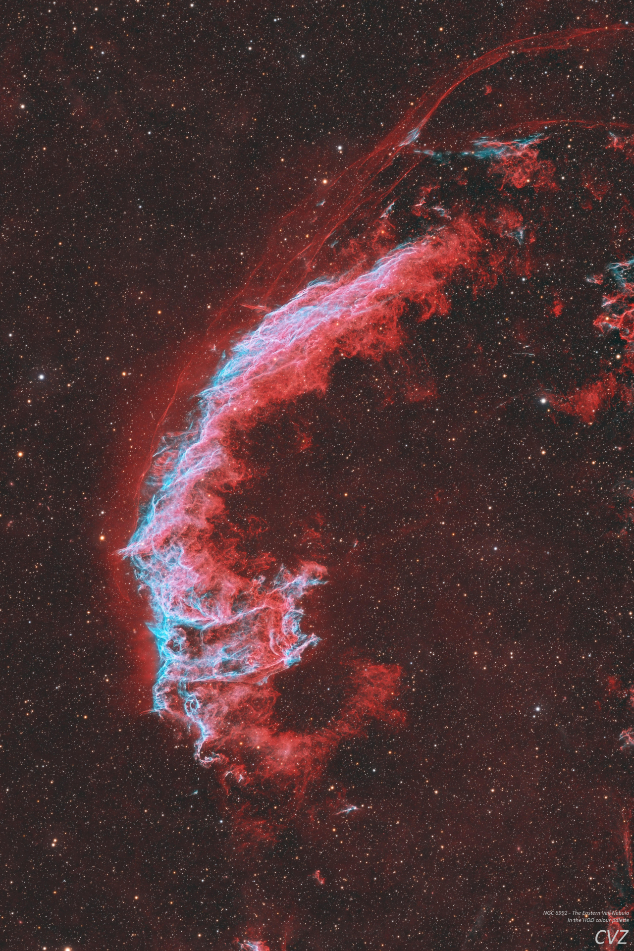 Astrophotographer spies an ancient supernova remnant shining in the wing of a cosmic swan (photo)