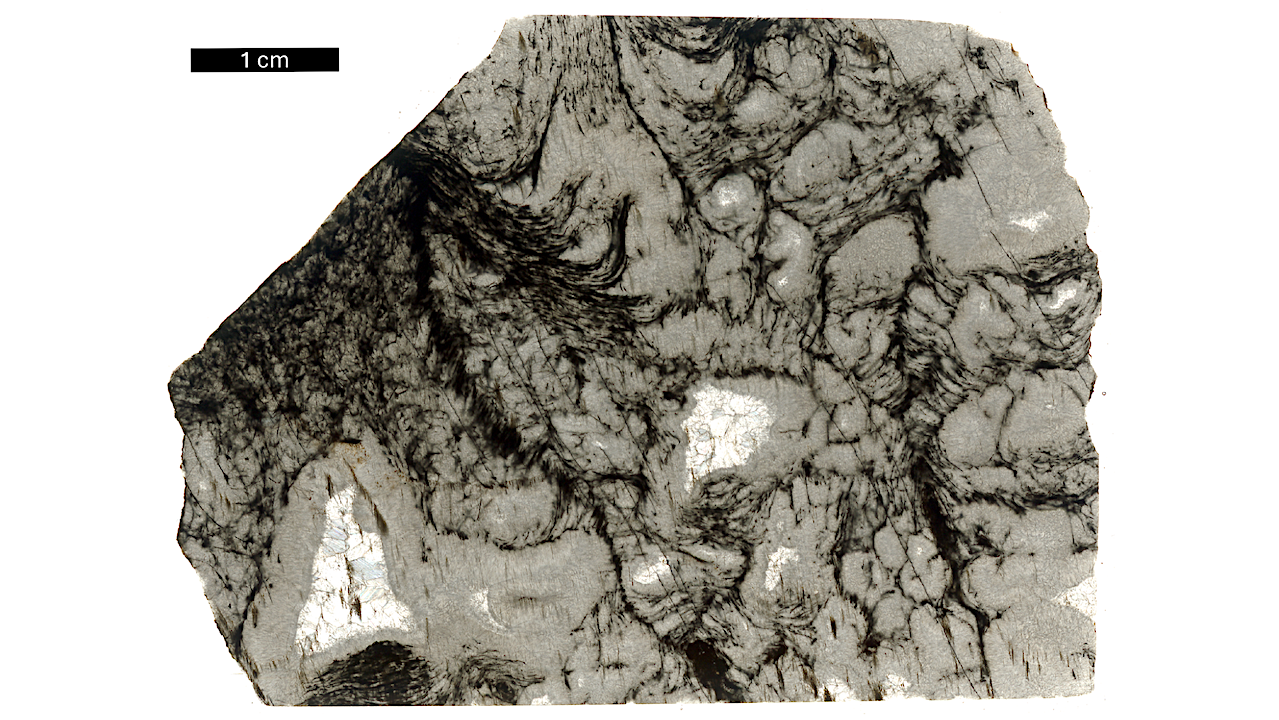Chemical Evidence Of Ancient Life Detected In 3.3 billion-year-old Rocks