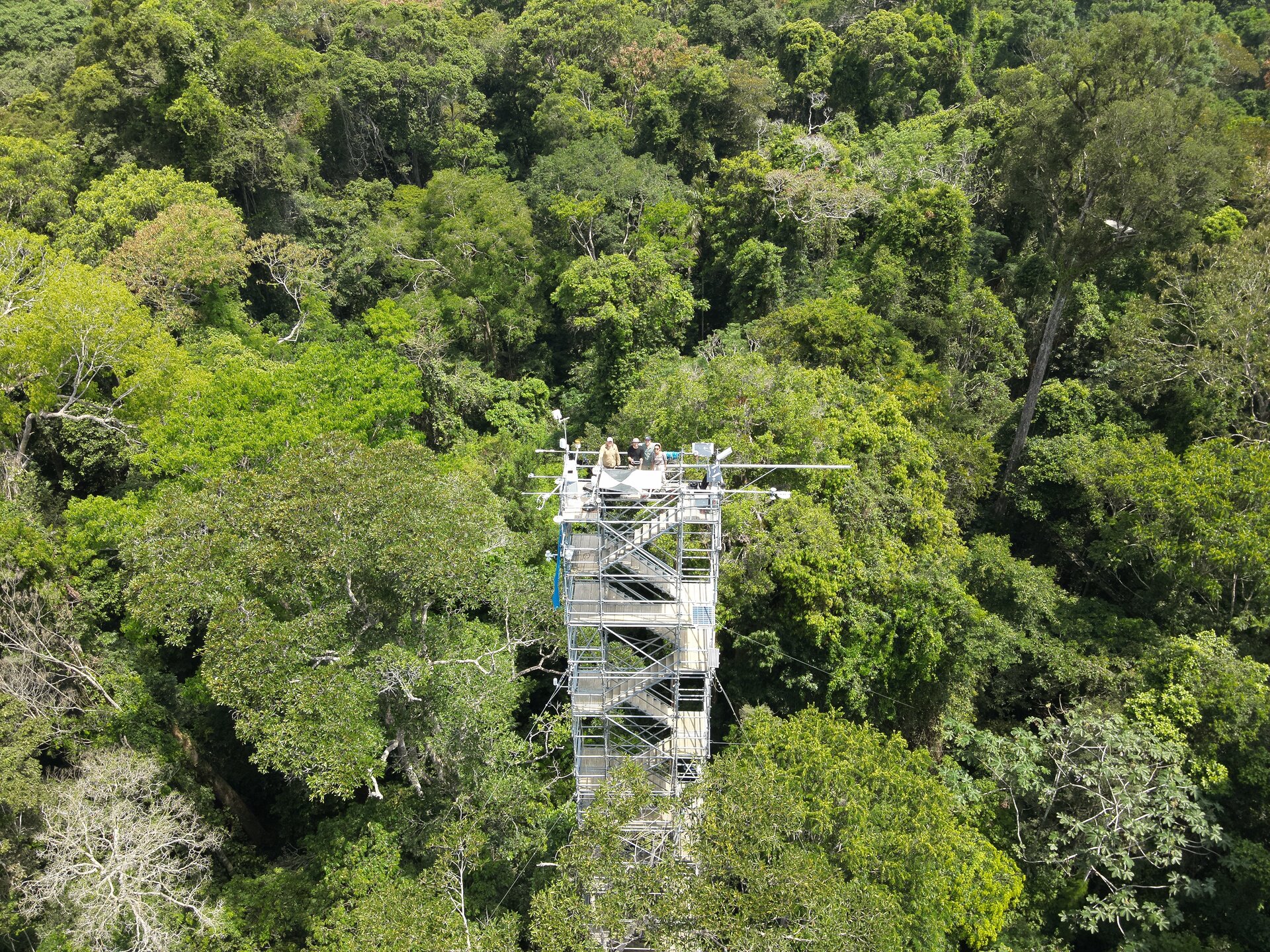 ESA investigates high-stakes Amazon tipping point