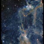 Euclid peers through a dark cloud’s dusty veil