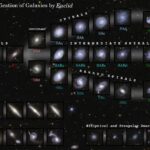 Euclid's First Data Release Sheds Light on Galaxy Evolution