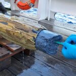 Fats Provide Clues To Life At Its Limits In The Deep Sea