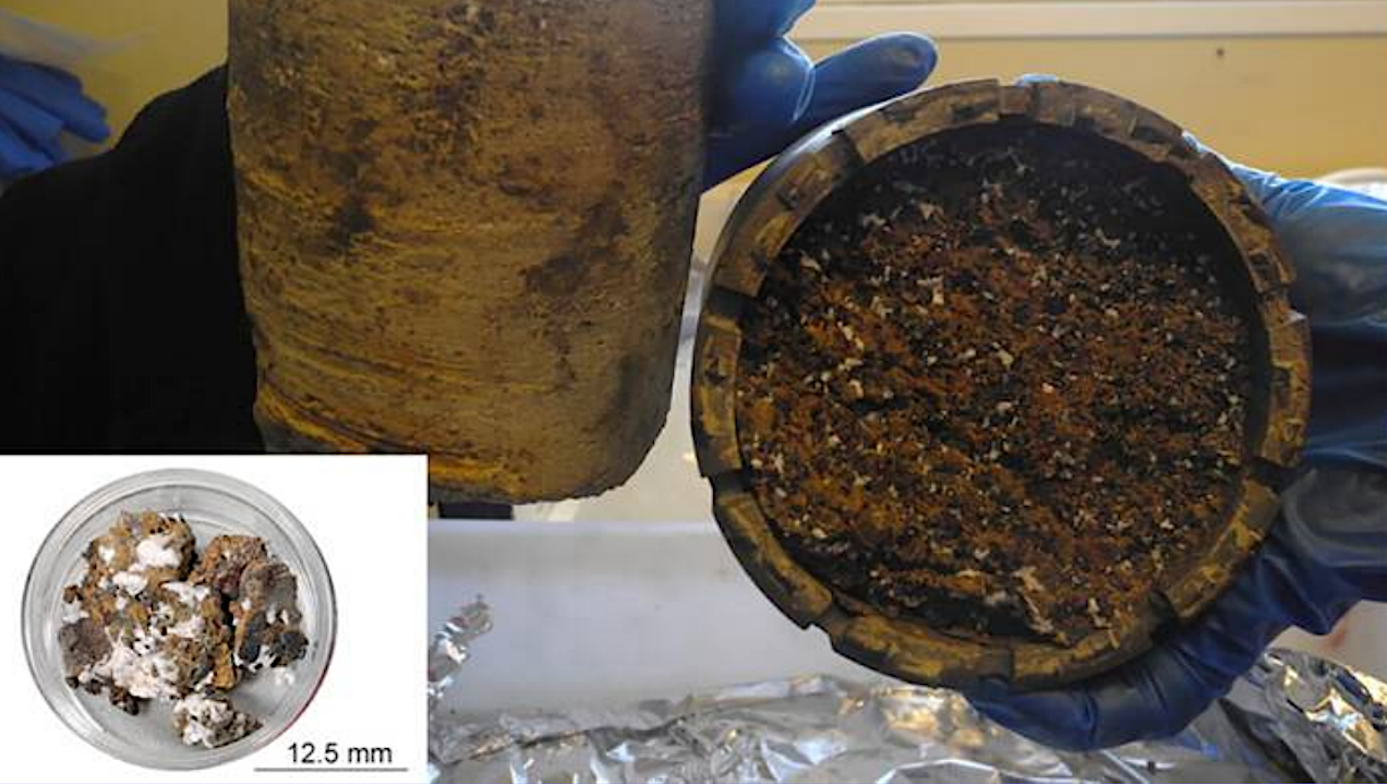 Geochemical Mobility of Elements in Antarctic Environments Affected by CO2-Rich Hydrothermal Fluids: Astrobiological Implications