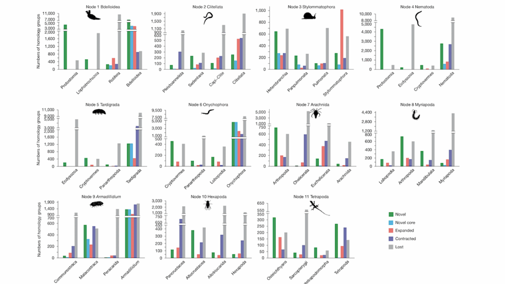 How Did Earth’s Animal Life Transition From Aquatic To Terrestrial Environments?