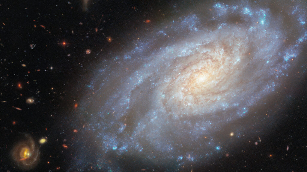 Hubble sees spiral galaxy in Lion's heart | Space photo of the day for Nov. 4, 2025