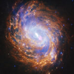 NASA Telescopes View Spiral Galaxy