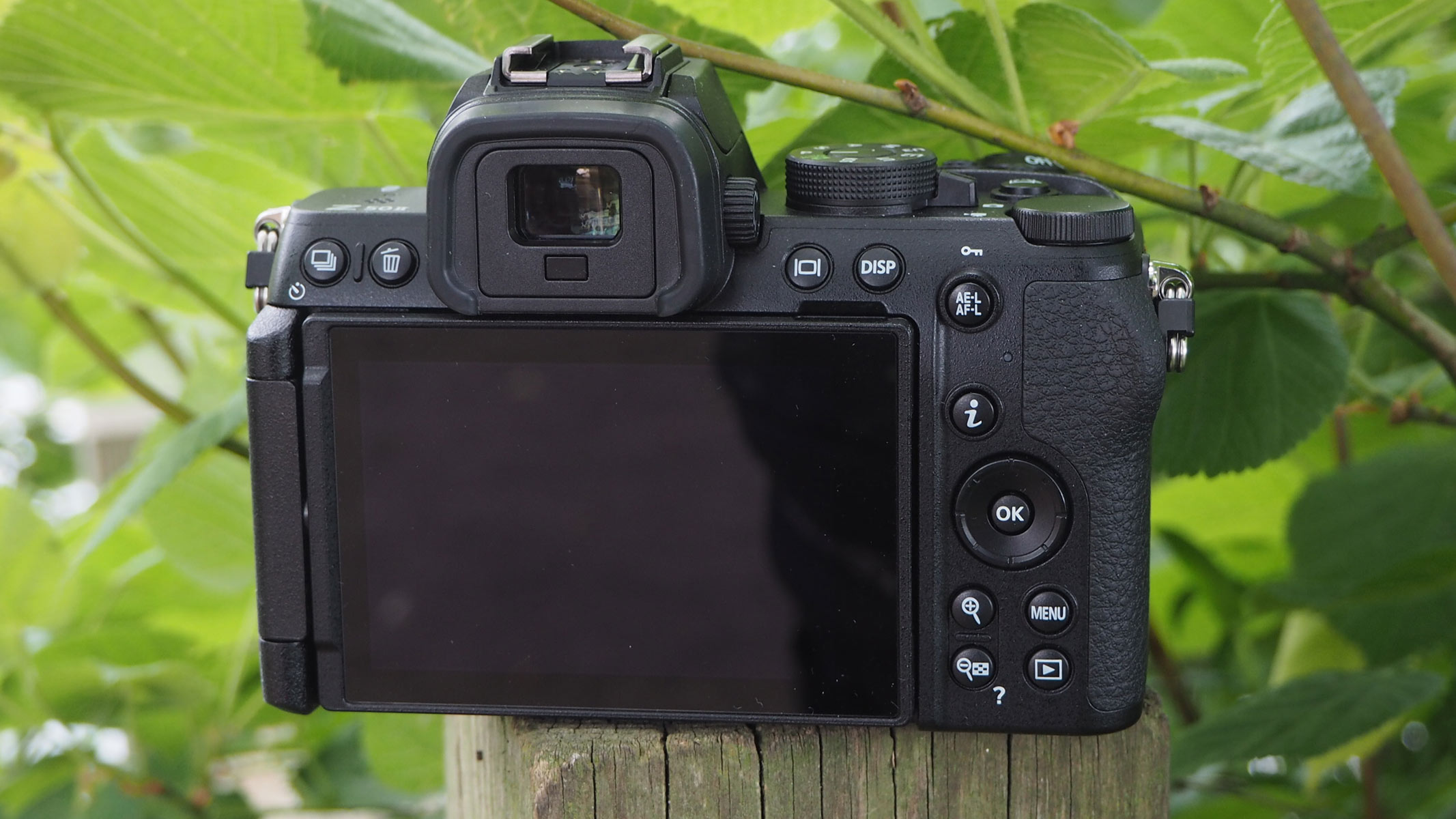 Nikon Z50 II camera review