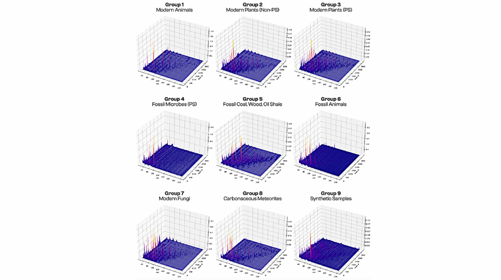 Organic Geochemical Evidence For Life In Archean Rocks Identified By Pyrolysis–GC–MS and Supervised Machine Learning