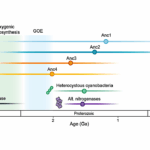Resurrected Nitrogenases Recapitulate Canonical N-isotope Biosignatures Over Two Billion Years