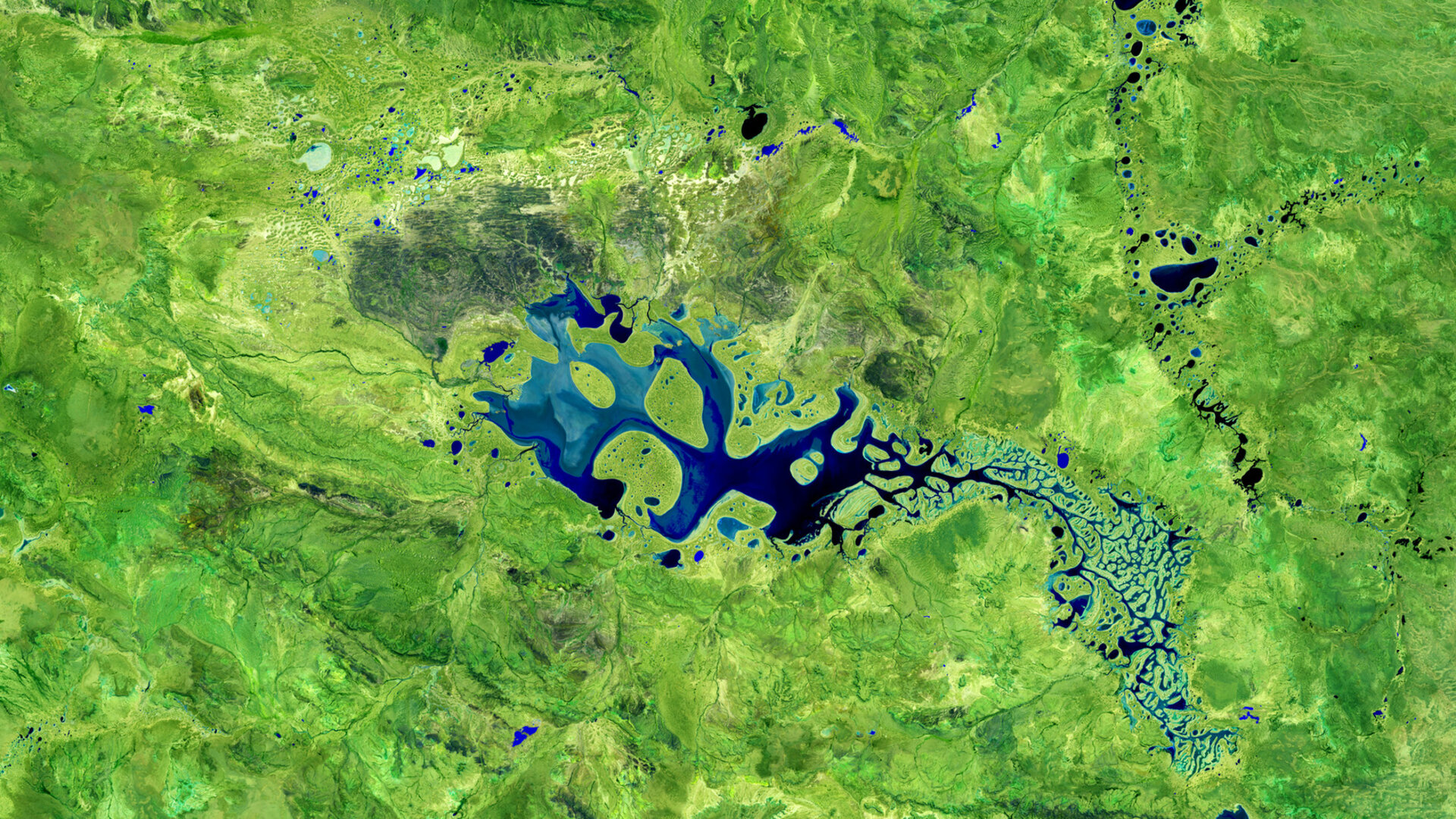 Satellite Imagery Reveals Lake Carnegie’s Eerie Transformation After Rainfall in Remote Australia