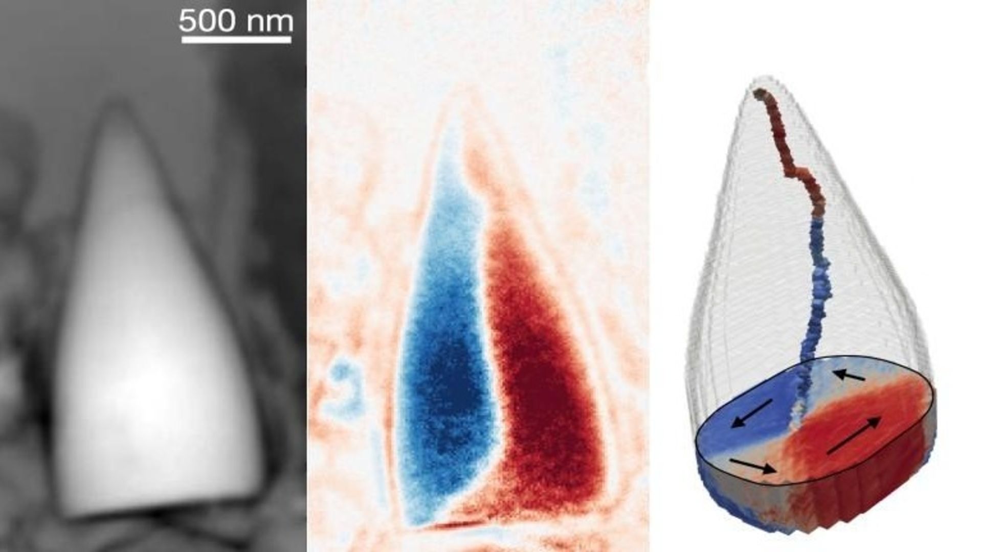 Scientists discover ancient magnetic fossils of unknown creature with internal GPS