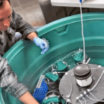 Small Aquatic Systems Found To Fix 15% Of Earth’s Nitrogen