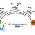 Terrestrial Iron Biosignatures And Their Potential In Solar System Exploration For Astrobiology